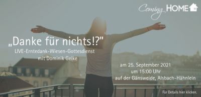 Danke für Nichts! - Dominik Gelke